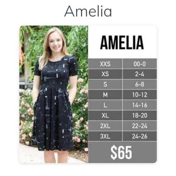 NWT LuLaRoe Amelia Dress